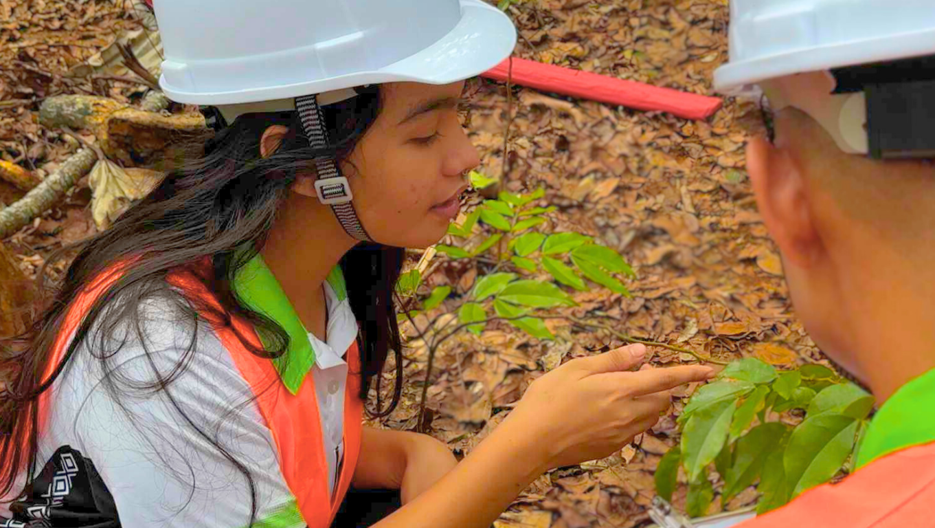 Forestry Course School of Forestry and Environmental Science - Aurora State College of ...